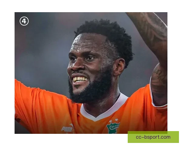 科特迪瓦本土非洲杯逆转尼日利亚上演不死鸟奇迹夺冠